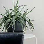 Apartament Lina